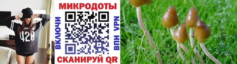 Купить закладки Амурск Псилоцибиновые грибы MAGIC MUSHROOMS